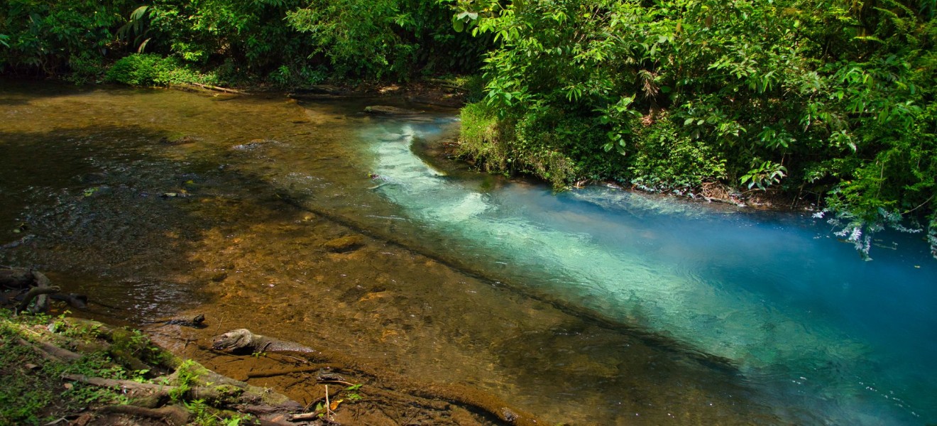 Costa Rica_image_14