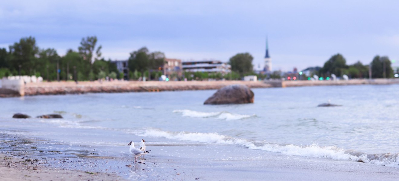 Estonia_image_6
