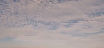 Fiji_image_14