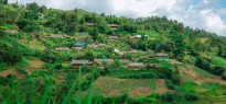 Fiji_image_18