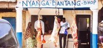 Gambia_image_10