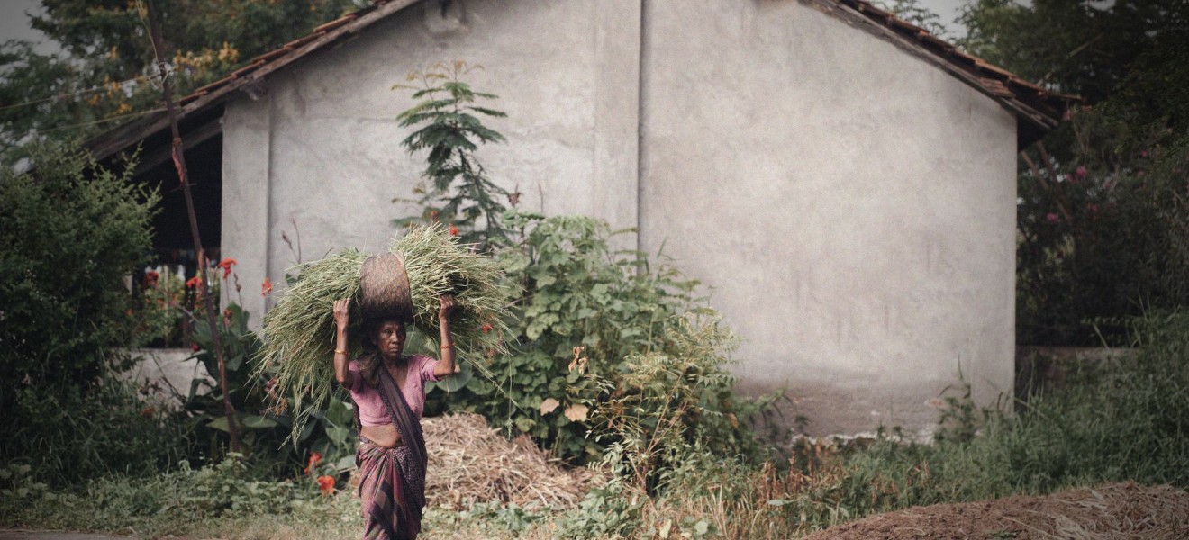India_image_15