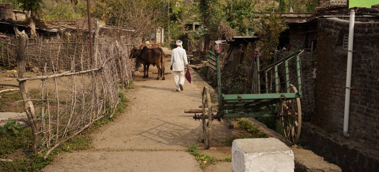 India_image_16