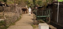 India_image_16