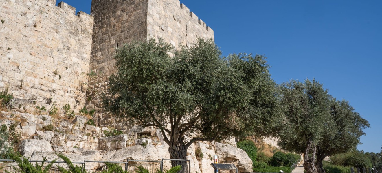 Israel_image_1