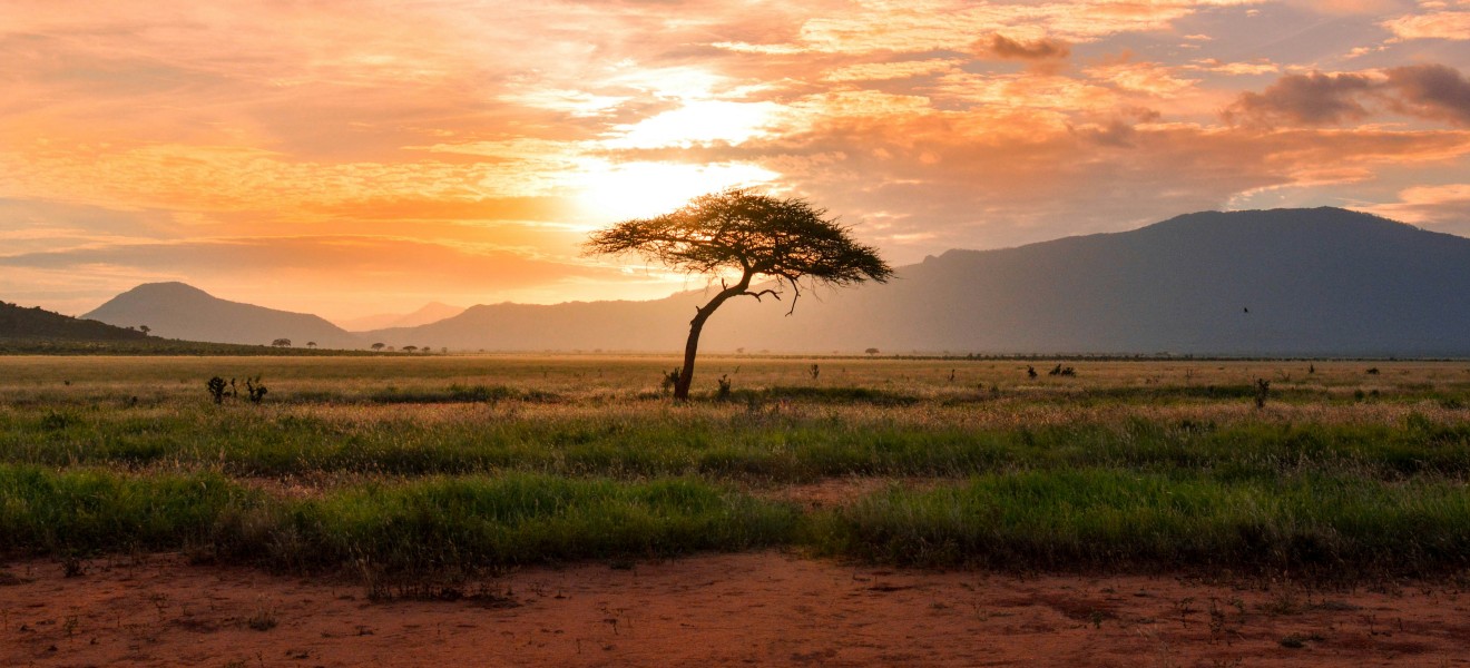 Kenya_image_15