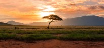 Kenya_image_15