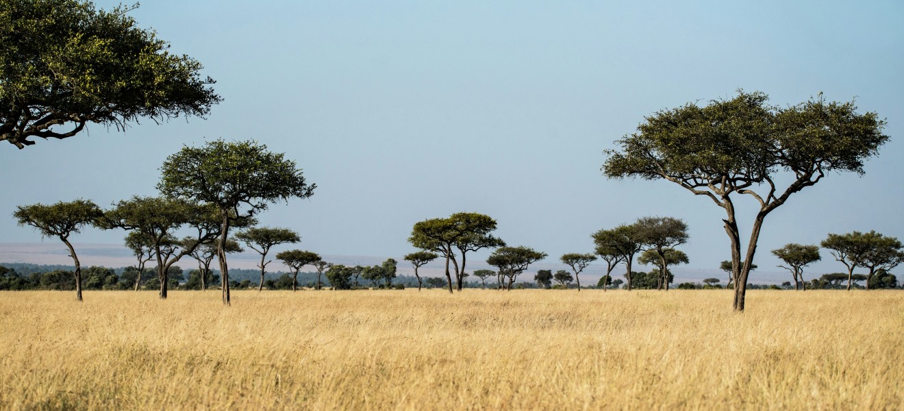 Kenya_image_18
