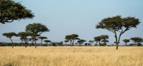 Kenya_image_18