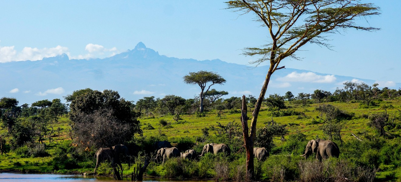 Kenya_image_19