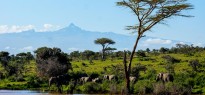 Kenya_image_19