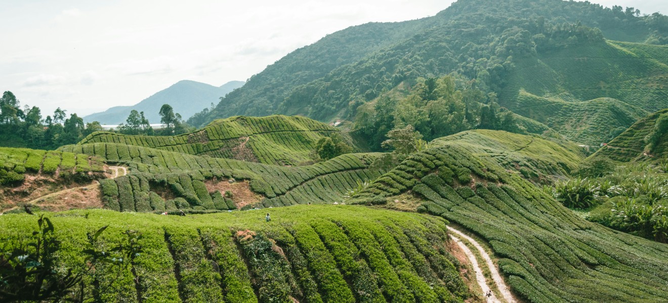 Malaysia_image_3