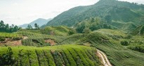 Malaysia_image_3