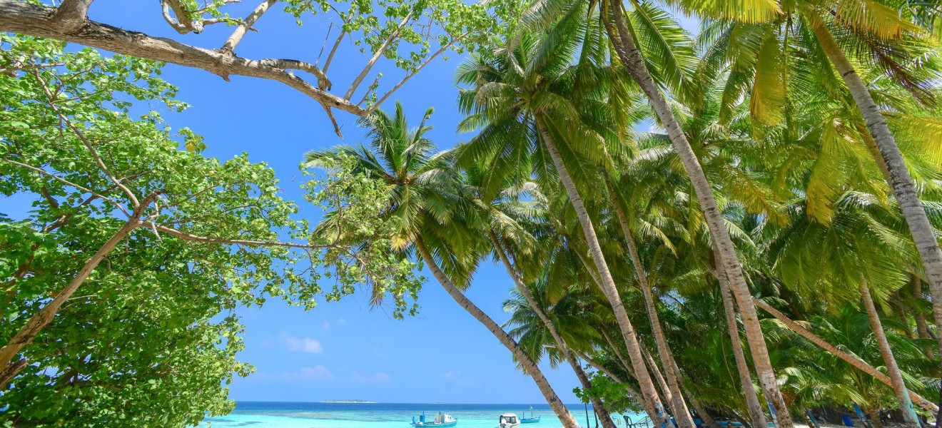 Maldives_image_9