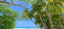 Maldives_image_9