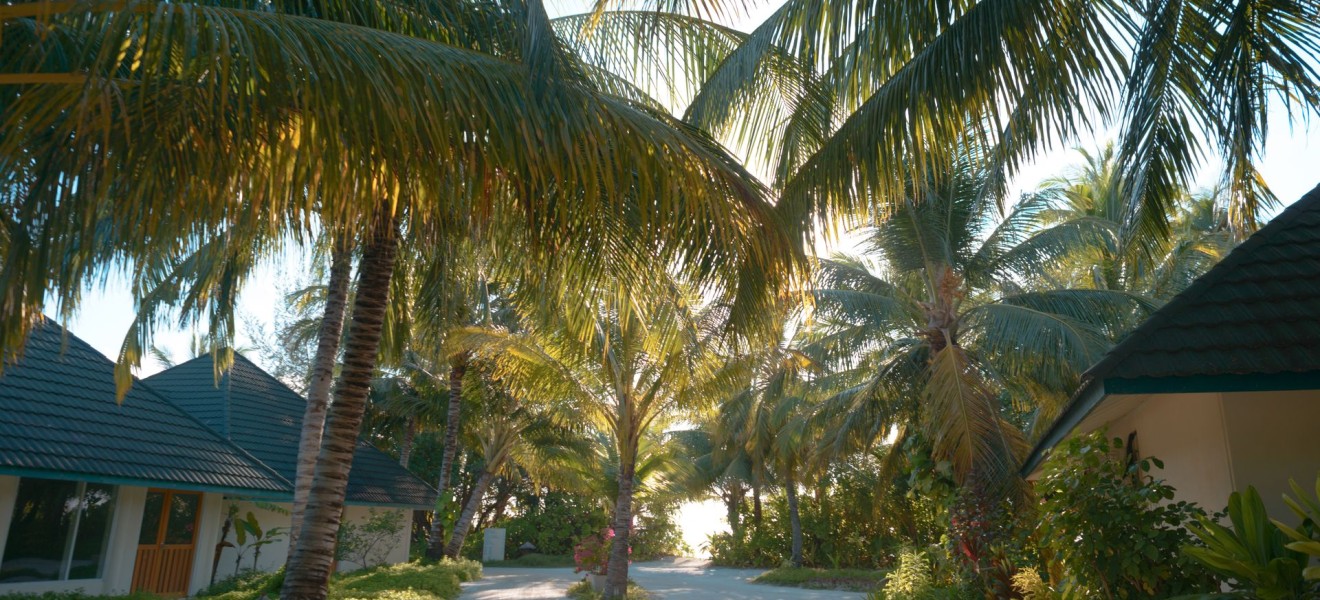 Maldives_image_12