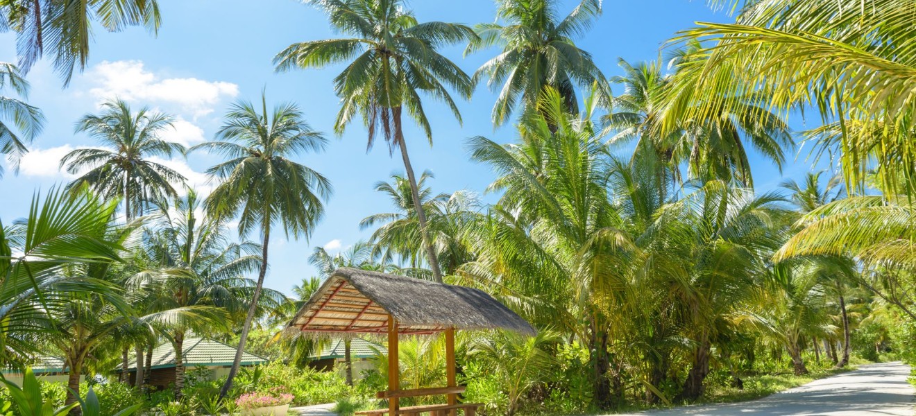 Maldives_image_14