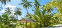 Maldives_image_14
