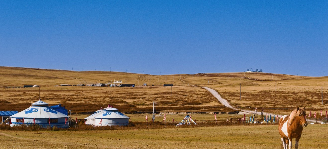 Mongolia_image_14