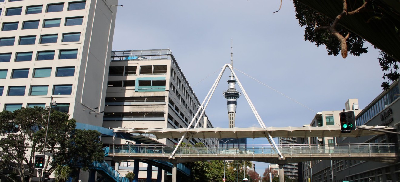 New Zealand_image_7
