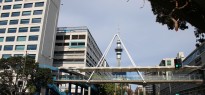 New Zealand_image_7