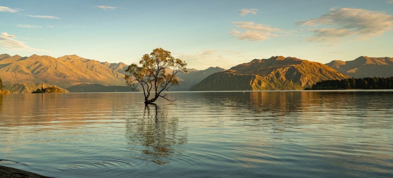 New Zealand_image_8