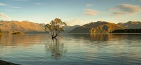 New Zealand_image_8