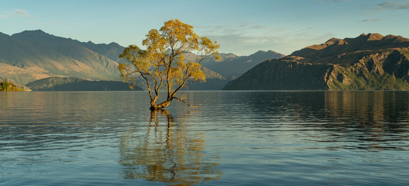 New Zealand_image_14