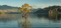 New Zealand_image_14