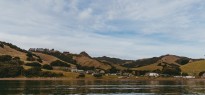 New Zealand_image_15