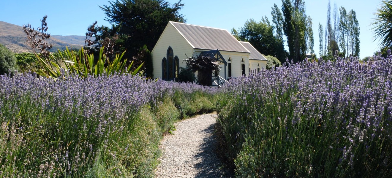 New Zealand_image_20