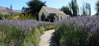 New Zealand_image_20