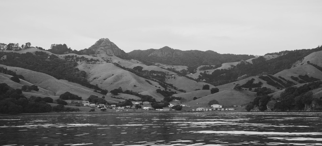 New Zealand_image_22