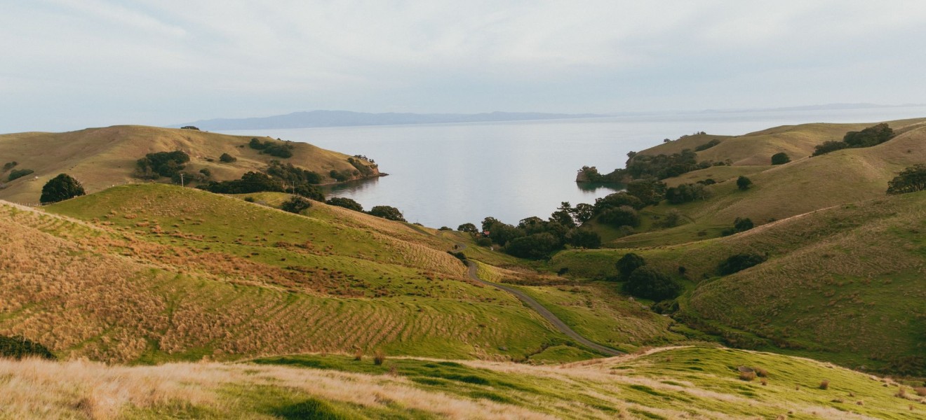 New Zealand_image_31