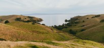 New Zealand_image_31