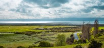 New Zealand_image_34