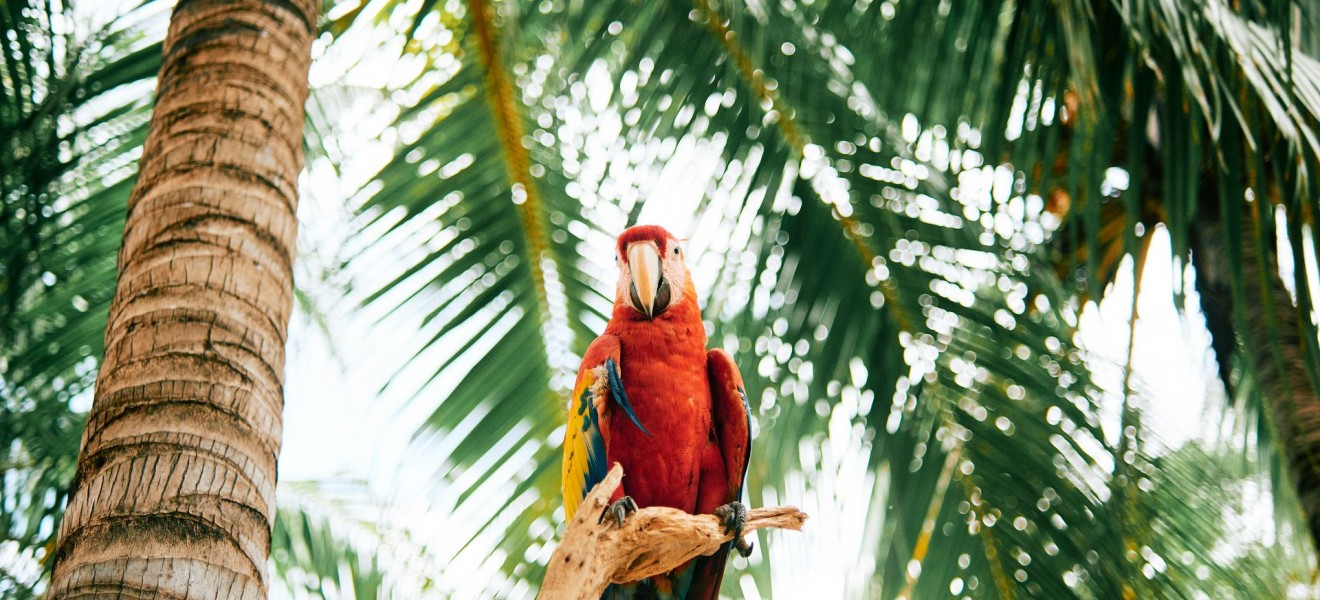 Nicaragua_image_10