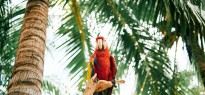 Nicaragua_image_10