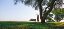 Qatar_image_21