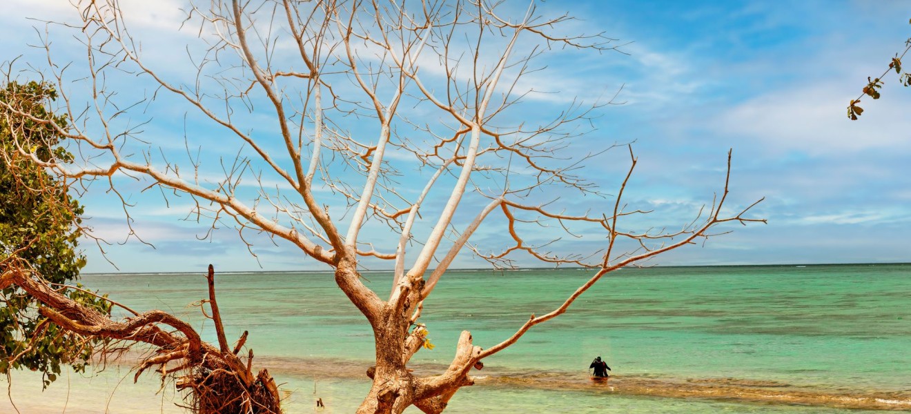 Samoa_image_0