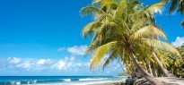 Samoa_image_5