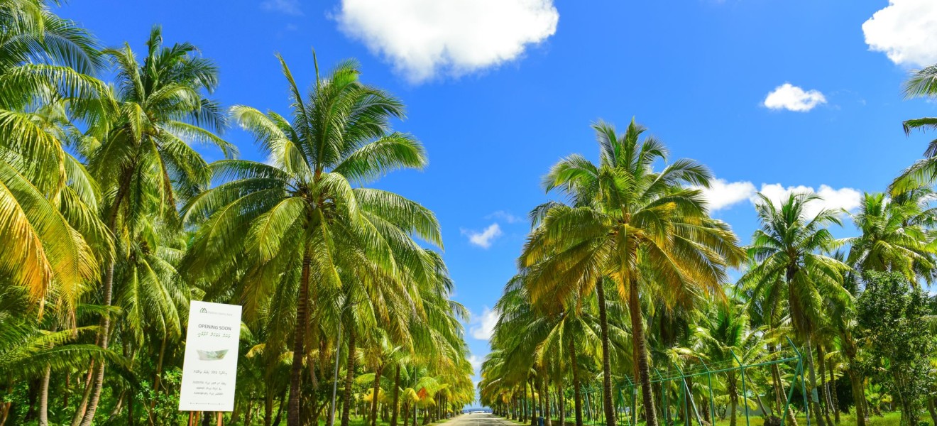 Samoa_image_10