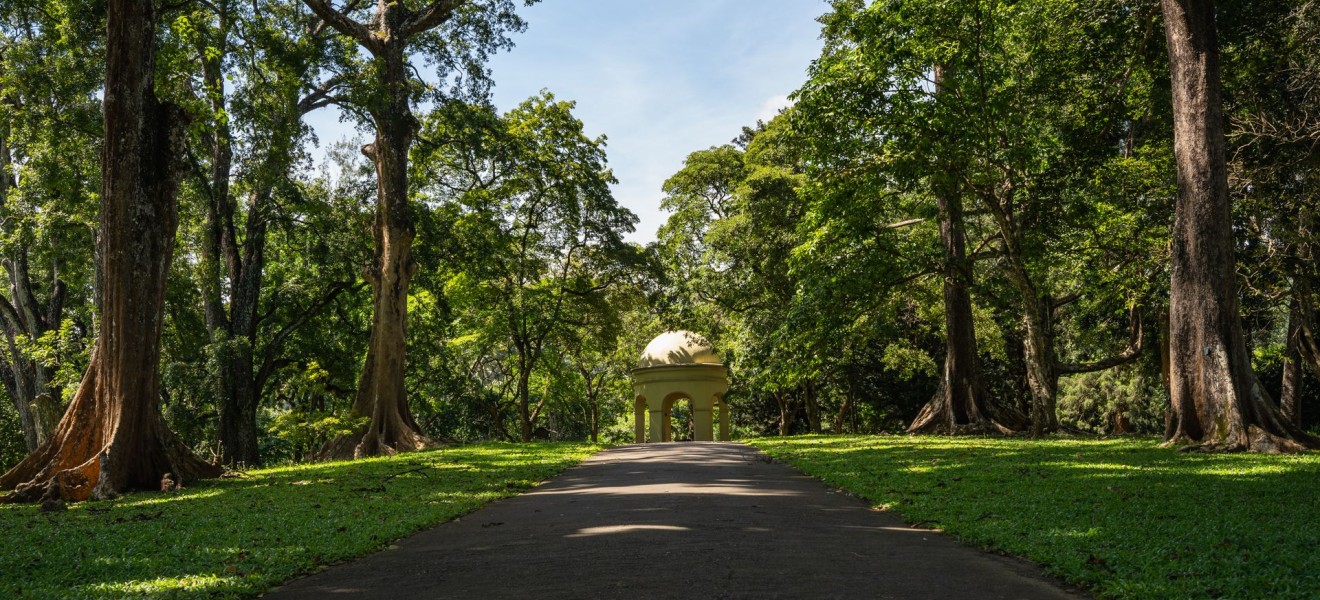 Sri Lanka_image_7