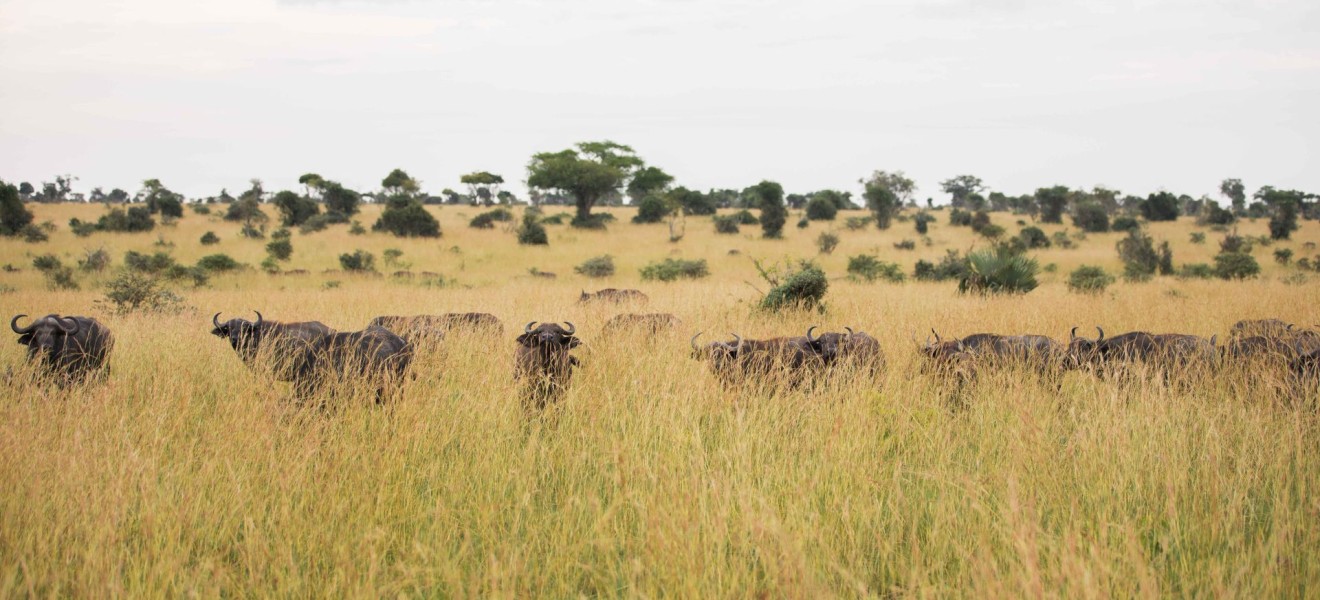 Uganda_image_5
