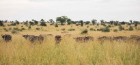 Uganda_image_5