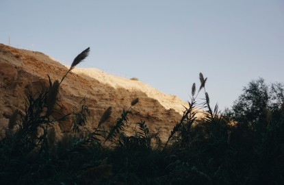 Ein Gedi Observation Point